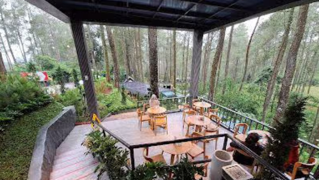 Daya Tarik Strobilus Cafe & Resto