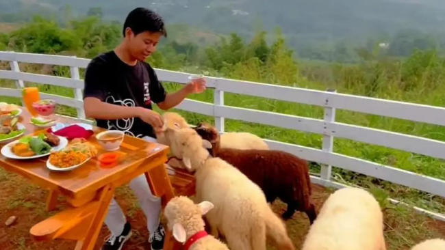 Harga Menu Makanan di Wooly Cafe