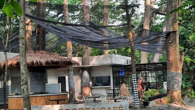 Lokasi Arborea Cafe