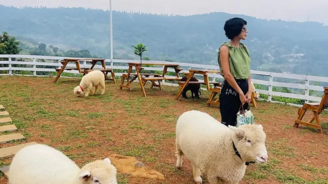 Lokasi, Harga Tiket dan Jam Operasional